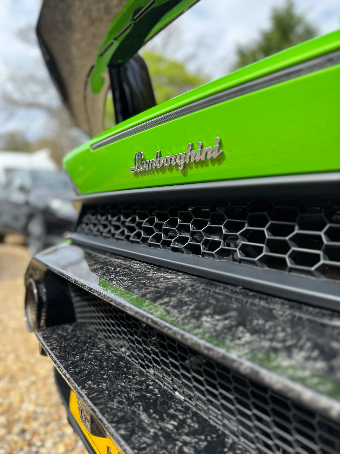 Lamborghini badge close-up